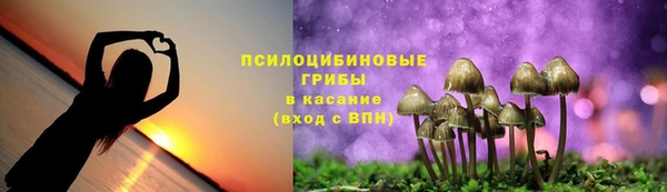 PSILOCYBIN Абинск