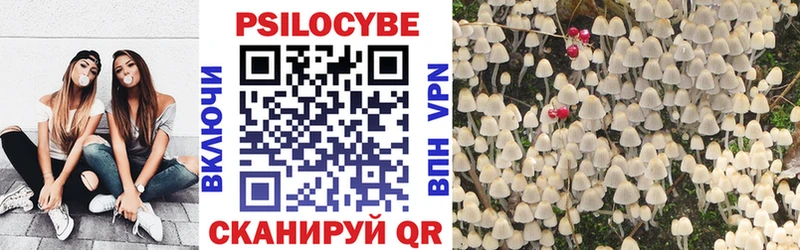 Псилоцибиновые грибы Magic Shrooms  где купить   Моршанск 