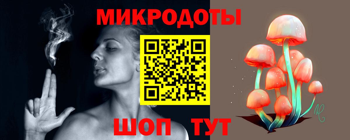 Моршанск  как найти   Вход с VPN  Псилоцибиновые грибы Cubensis 